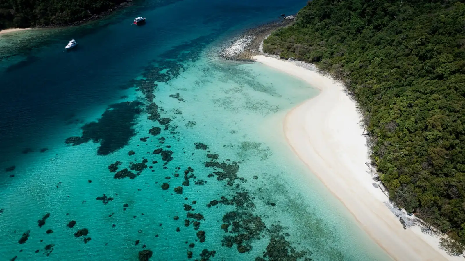 Blue ocean beside a forested coastline